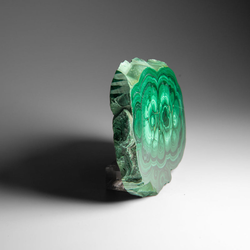 Genuine Polished Malachite Stalactite Slice (1.6 Lbs)