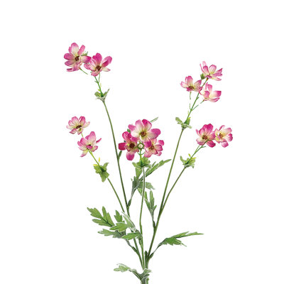 Arrangement de tournesol