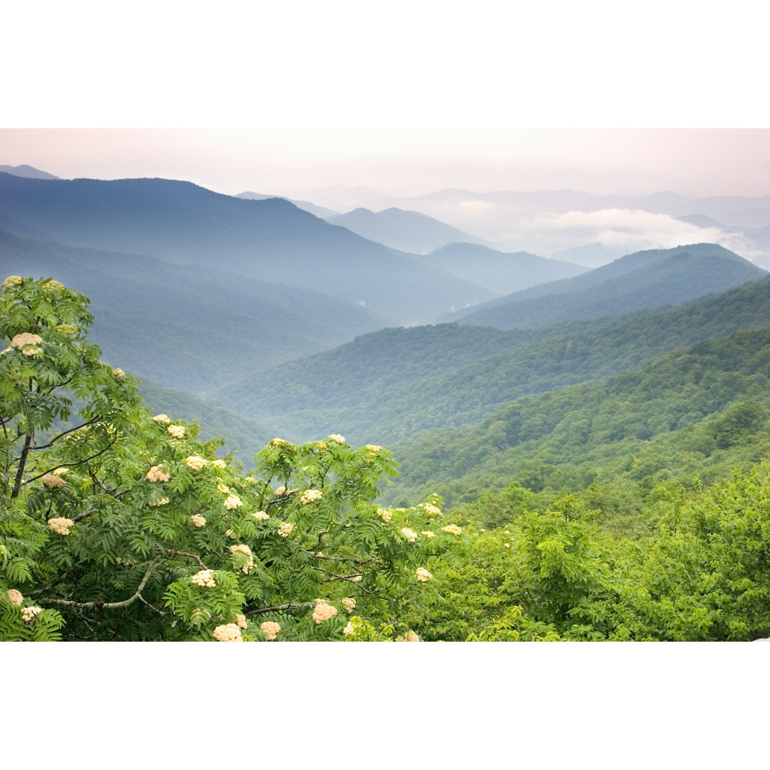 Blick auf die Blue Ridge Mountains von Skyhobo - Kunstdrucke ohne Rahmen auf Leinwand