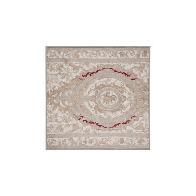 Machine Washable Gray Area Rug
