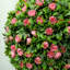 Sibren 60cm Faux Rose Plant in Cement Pot-1348365474
