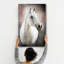Decorative Tempered Glass Painting