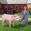 Statue musical porkchop the porc