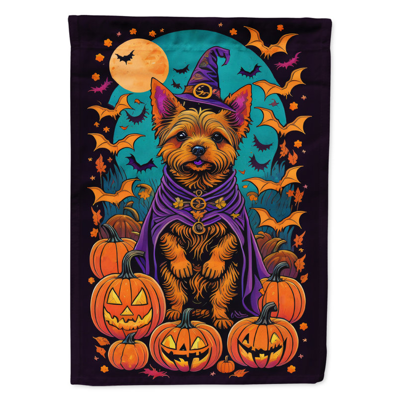 Jakameron Double Sided Polyester Halloween Garden Flag, 15.5" x 11.25"
