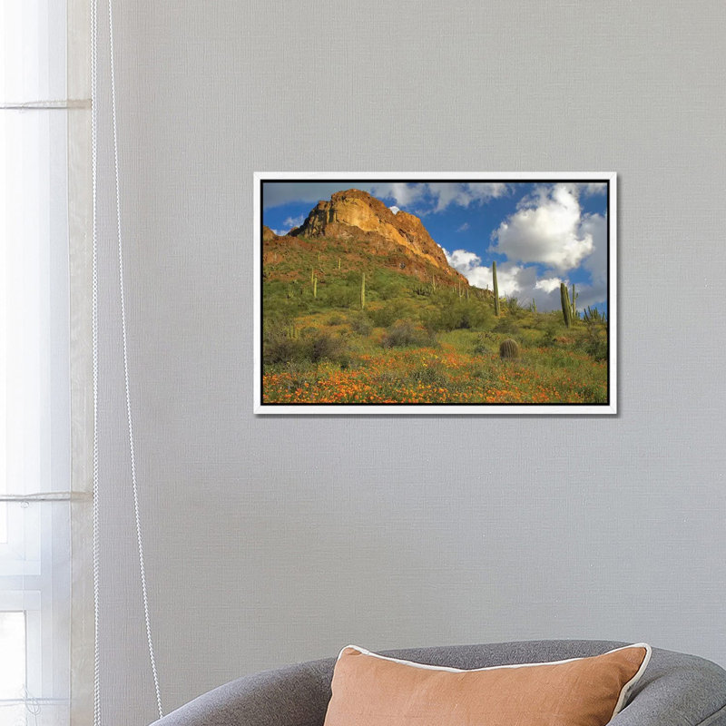California Poppy And Saguaro Cacti, Organ Pipe Cactus National Monument, Arizona II 1 Piece Wall Art on Canvas, White Framed