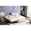 Lit double gris avec lit gigogne. Bois de pin + cadre. Tête de lit incluse. Aucun sommier tapissier requis pour faciliter l'installation du lit gigogne - construction solide