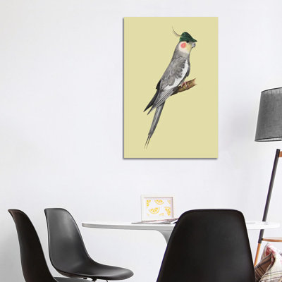 Cockatiel 1 Piece Wrapped Canvas Wall Art