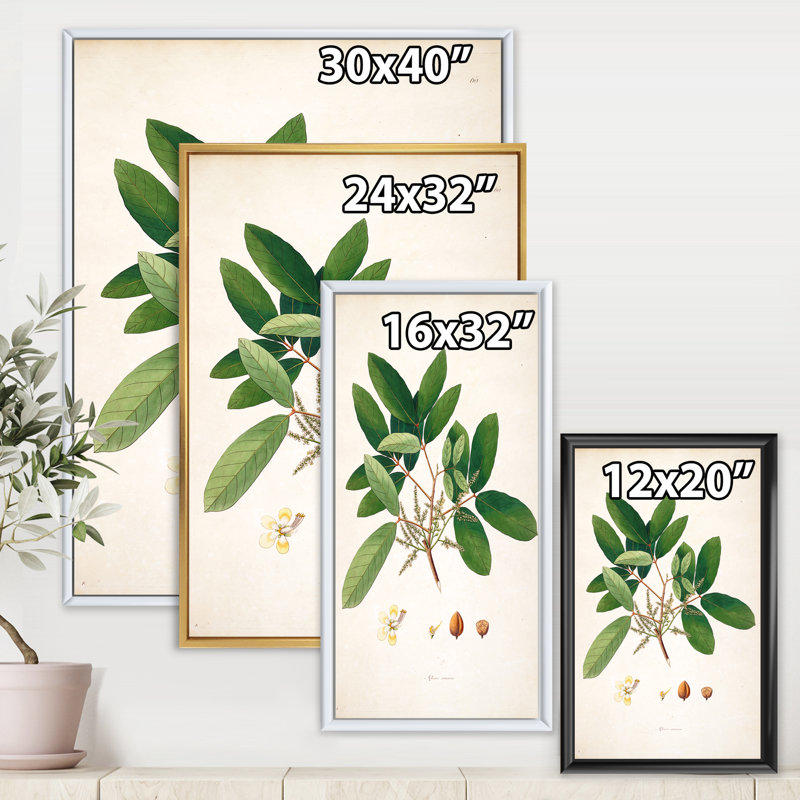 Vintage Botanicals II - peinture sur toile, H 32 po x l 16 po x P 1 po, Cadre flottant noir