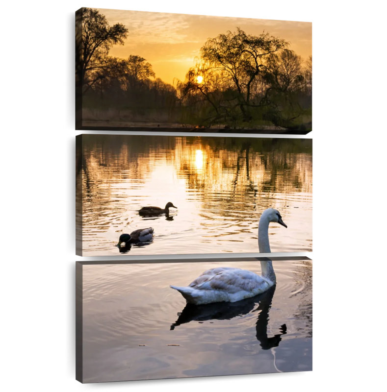 Brampt Vondelpark Swans At Sunrise, 32" H x 20" W