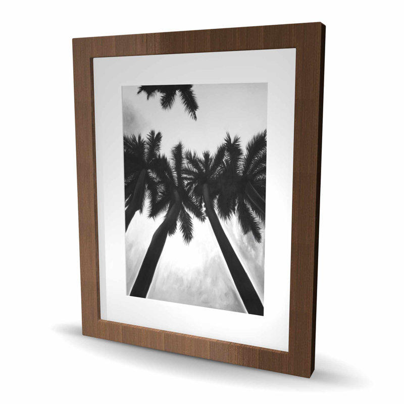 Palmiers monochromes - décor de chambre à coucher noir et blanc, Brun