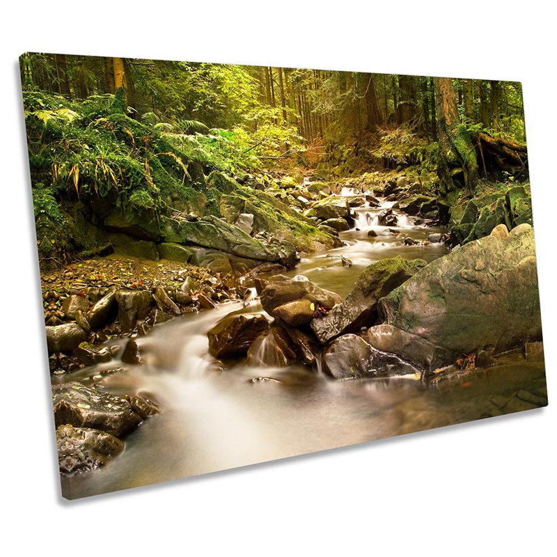 Rain Forest Green River - Wrapped Canvas Print, 40.6cm H x 61cm W x 2cm D