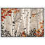 Aspen Birch «Forest Birch Trees» sur-99141904-99141908