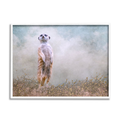 " Meerkat Watching Prairie Nature "