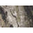 Runner Georgeann Abstract Machine Woven Gray/Brown Area Rug