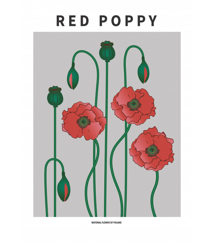 "Red Poppy", art mural texturé encadré, Noir, H 14 po x l 10 po