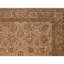 Wool Oriental Area Rug in Gold