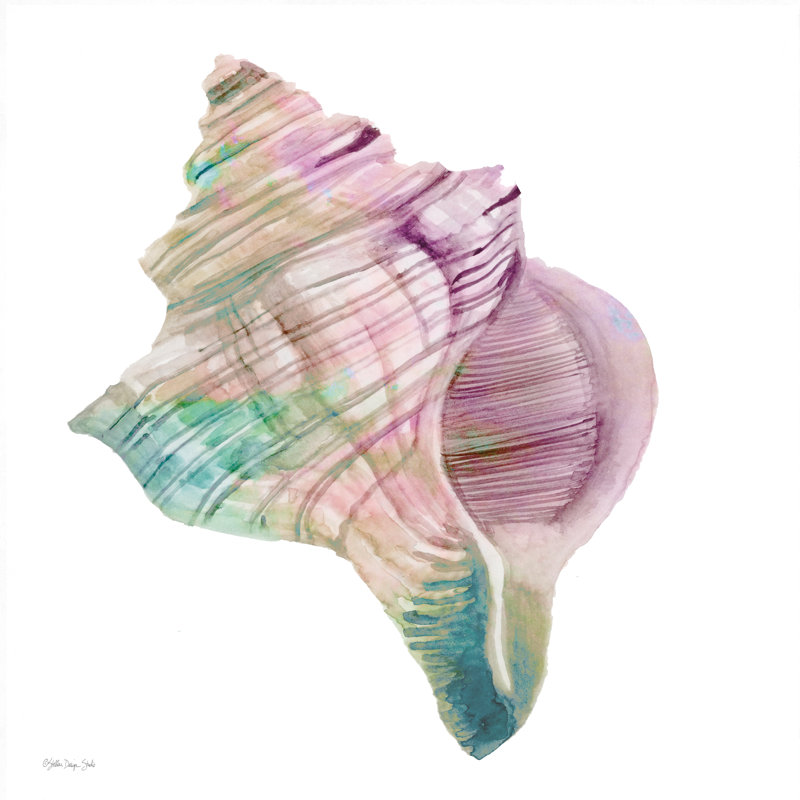 Conch Shell sur toile par Stellar Design Studio, reproduction, H 20 po x l 20 po x P 1,25 po