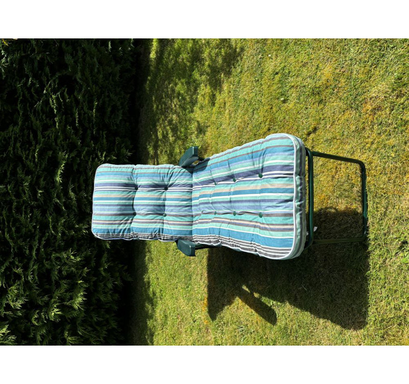 Celinez Steel Outdoor Lounge Chair, Blue, Green