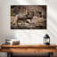Couple de moutons Bighorn-106812105