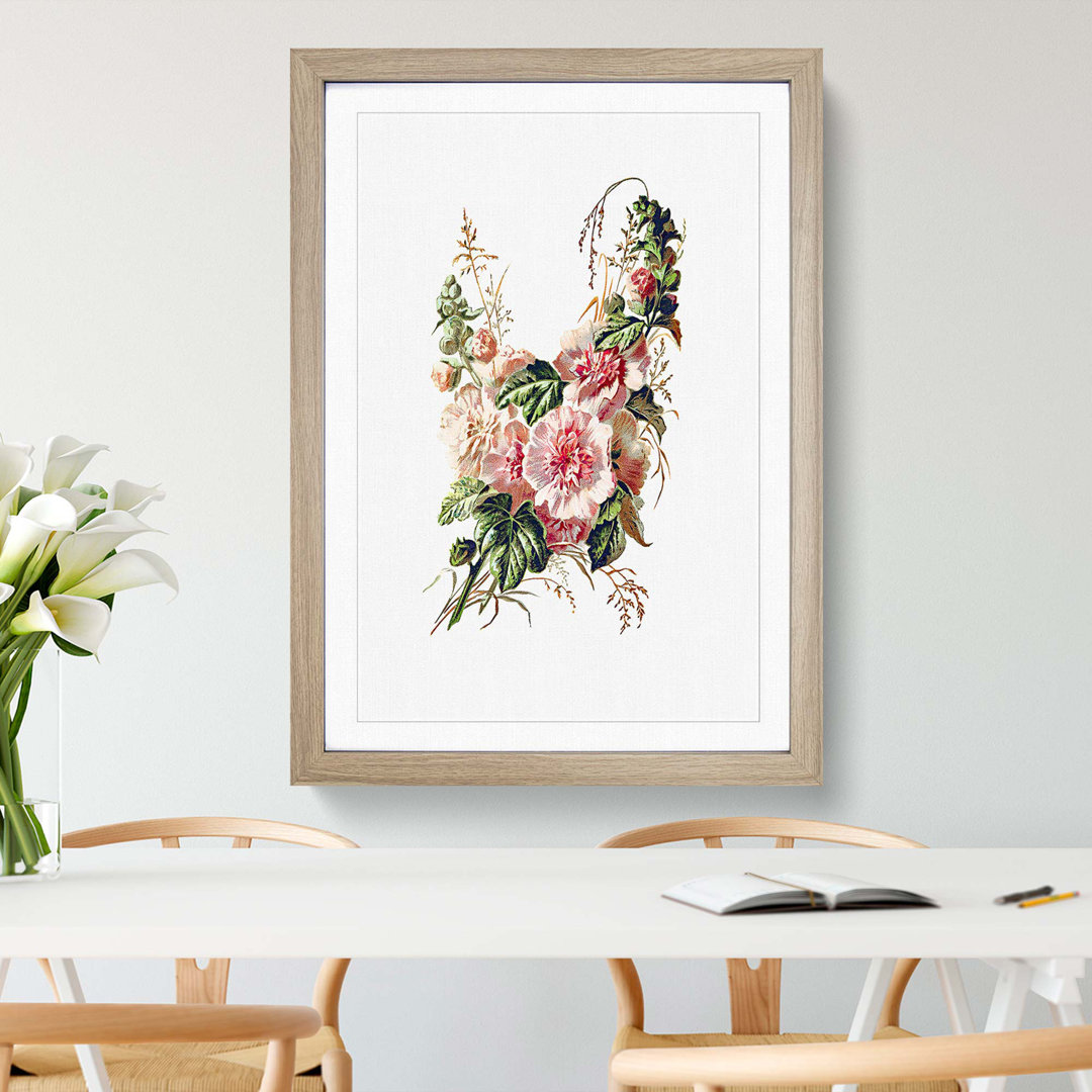 Hollyhock Flower Illustration - Framed Print