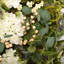 Ornement de printemps et hortensias