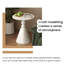 Pedestal End Table