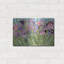 Iris Garden X par Sharon Pitts-2414830