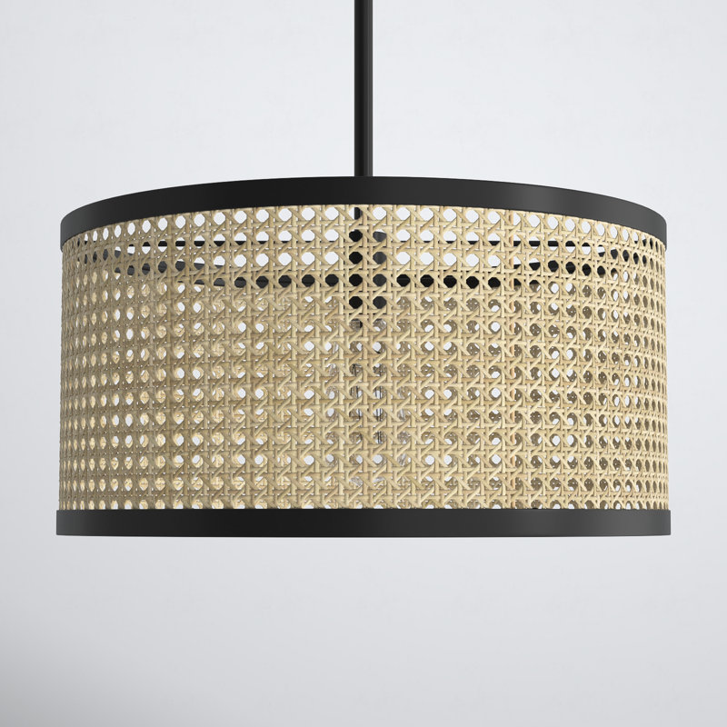 Drax Single Light Dimmable Pendant | Birch Lane