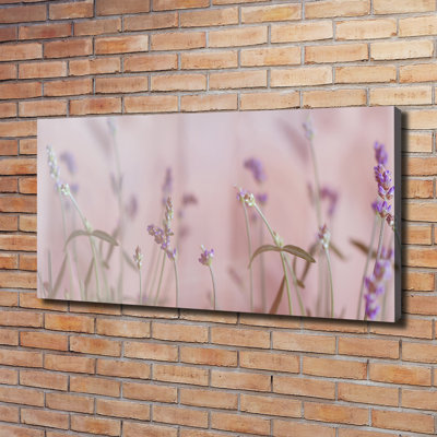 Lavender - Wrapped Canvas Print