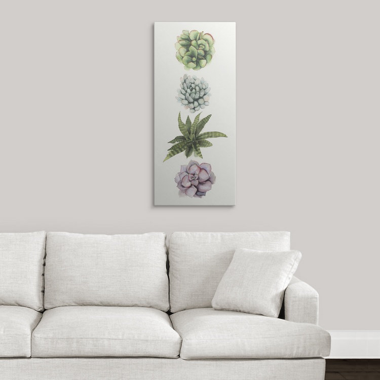 « ii », reproduction d’impression dépilée Row of Succulents, H 56 po x l 29 po x P 1 po, Cadre blanc