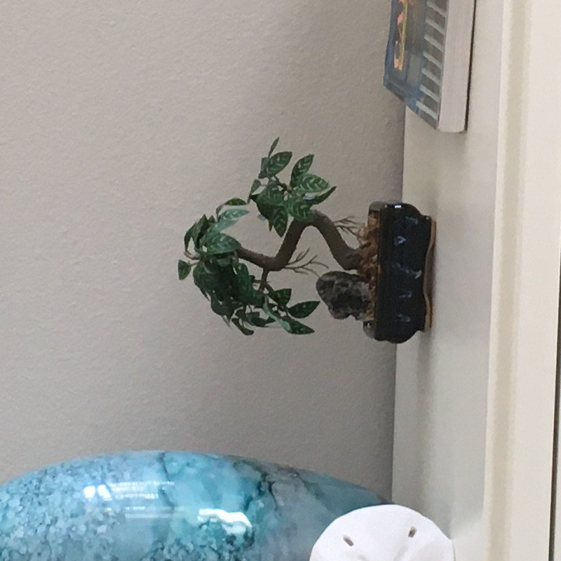 Customer review by Rosalie