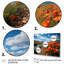 Kolette, Espagne, champs de coquelicots sur toile-1486163176-1486163179
