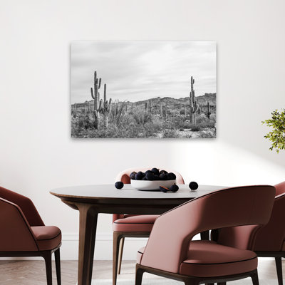 Jardin Sonoran Wonderland BW