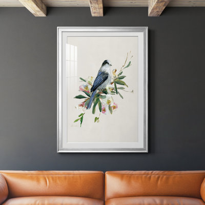 " Spring Song Gray Jay " Painting Print