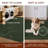 Elion Modern Machine Washable Area Rug-1979999014-1993539233