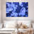 Sea Jellies-107704611