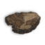 Cast Naturals Petrified Wood Wall Décor