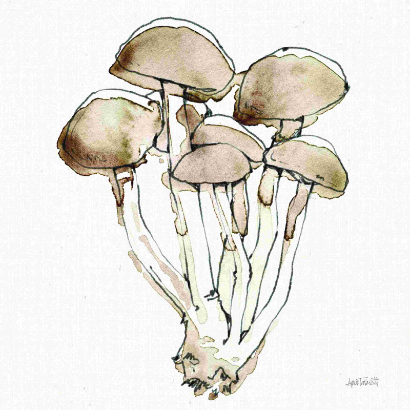 Champignons frais de campagne I, H 12 po x l 12 po