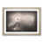 Oak Framed selected