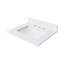 25'' W Single Vanity Top-1592074766