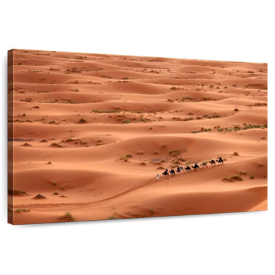 Alvord Sahara Desert Camel Caravan