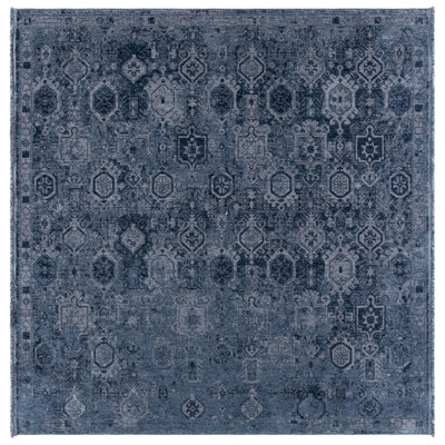 Vitnage Overdye 806 Performance Oriental Rug
