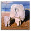 «Above The Clouds Mother and Kid» par Lena Owens-1550985786