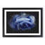 Blue Rose - Picture Frame Painting Print-56855057-56855058