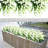 Mixed Assortment Arrangement-1616388577