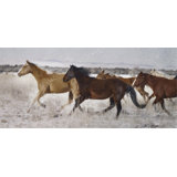 Mares On Promontory Print by Chris Dunker