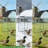 Walk In Chicken Run