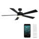 Wynd 5 - Blade Outdoor /Indoor Smart Ceiling Fan with Remote Control and LED Light Kit Included, Works With Alexa and iOS or Android App
