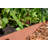 5.5'' H x 2.0'' W Classic Sienna Composite Lawn Edging