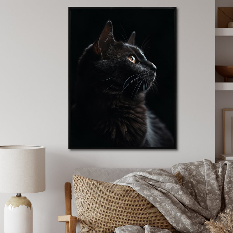 Portrait d'un chat noir, photographie, H 40 po x l 30 po, Cadre flottant noir